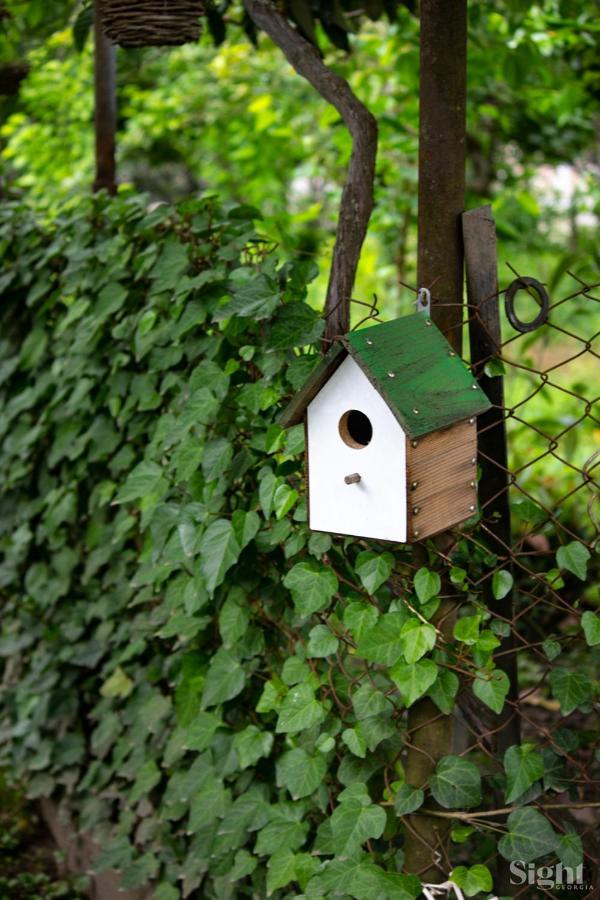 Apartament Tibash House Darch'eli Zewnętrze zdjęcie
